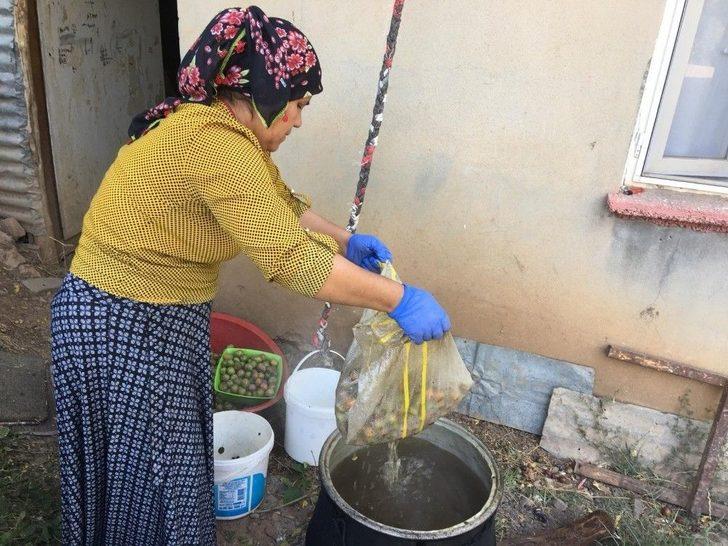 (özel) Beytüşşebap’ta Erik Hasadı Başladı G4