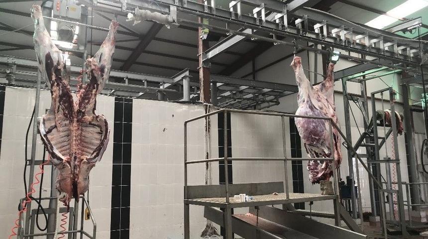 Esenyurt’ta Rueff Tekniğiyle Kurban Kesilecek