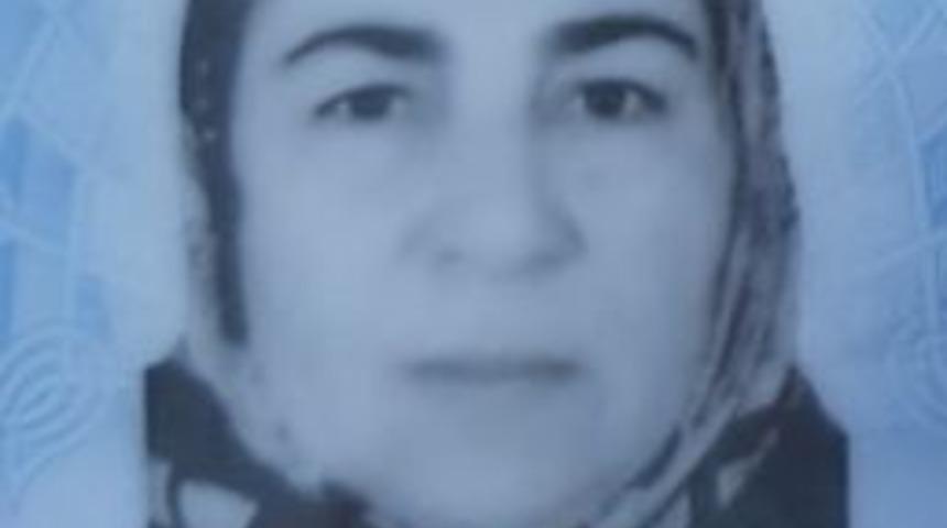 Bursa&rsquo;da Ke&ccedil;i Otlatırken Yıldırım &Ccedil;arpan Kadın Hayatını Kaybetti