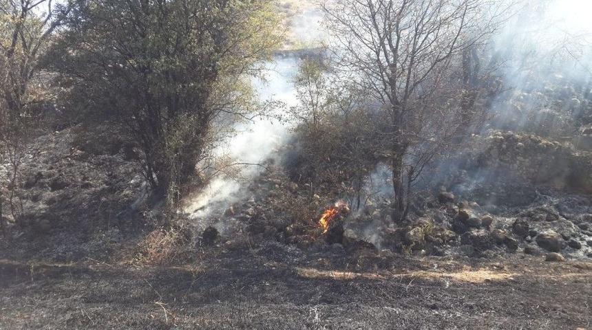 Bahçe Yangını Korkuttu