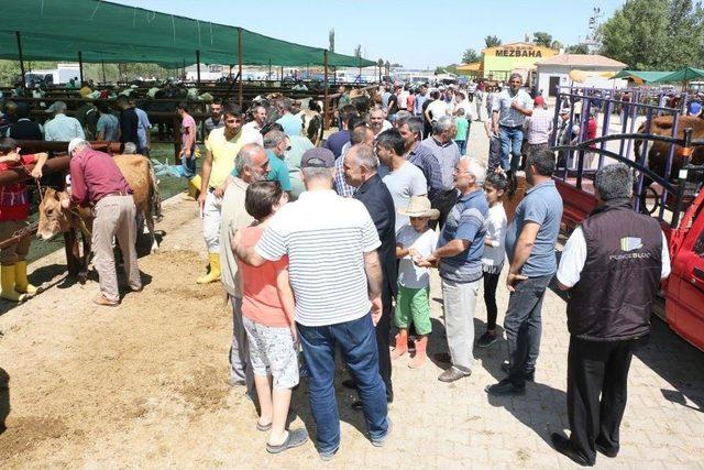 Başkan Öztürk Kurban Pazarını Ziyaret Etti