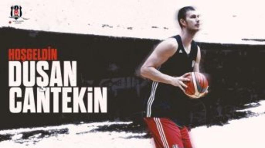 Duşan Cantekin, Beşiktaş&rsquo;ta