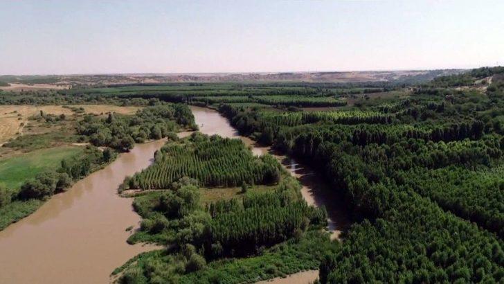 Prof. Dr. Ahmet Kılıç: “dicle Vadisi Projesi Yeniden Ele Alınmalı” G1