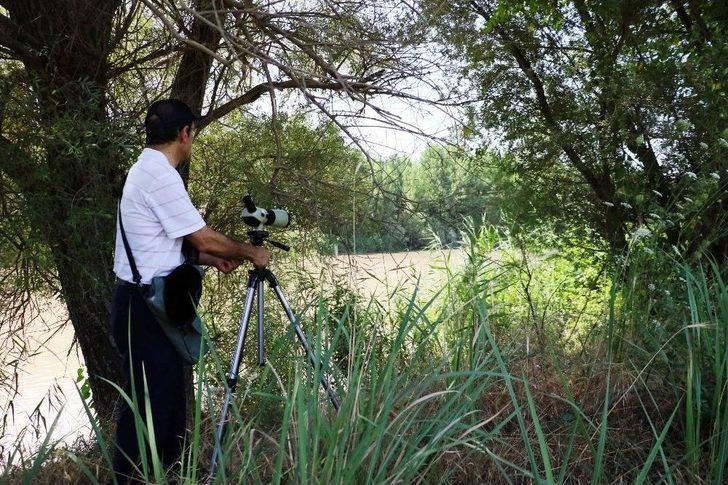 Prof. Dr. Ahmet Kılıç: “dicle Vadisi Projesi Yeniden Ele Alınmalı” G3