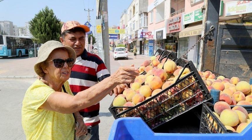 Mezitli’de Şeftaliler Üreticiden Direk Tüketiciye Ulaşıyor
