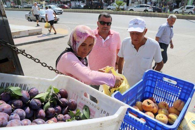 Mezitli’de Şeftaliler Üreticiden Direk Tüketiciye Ulaşıyor