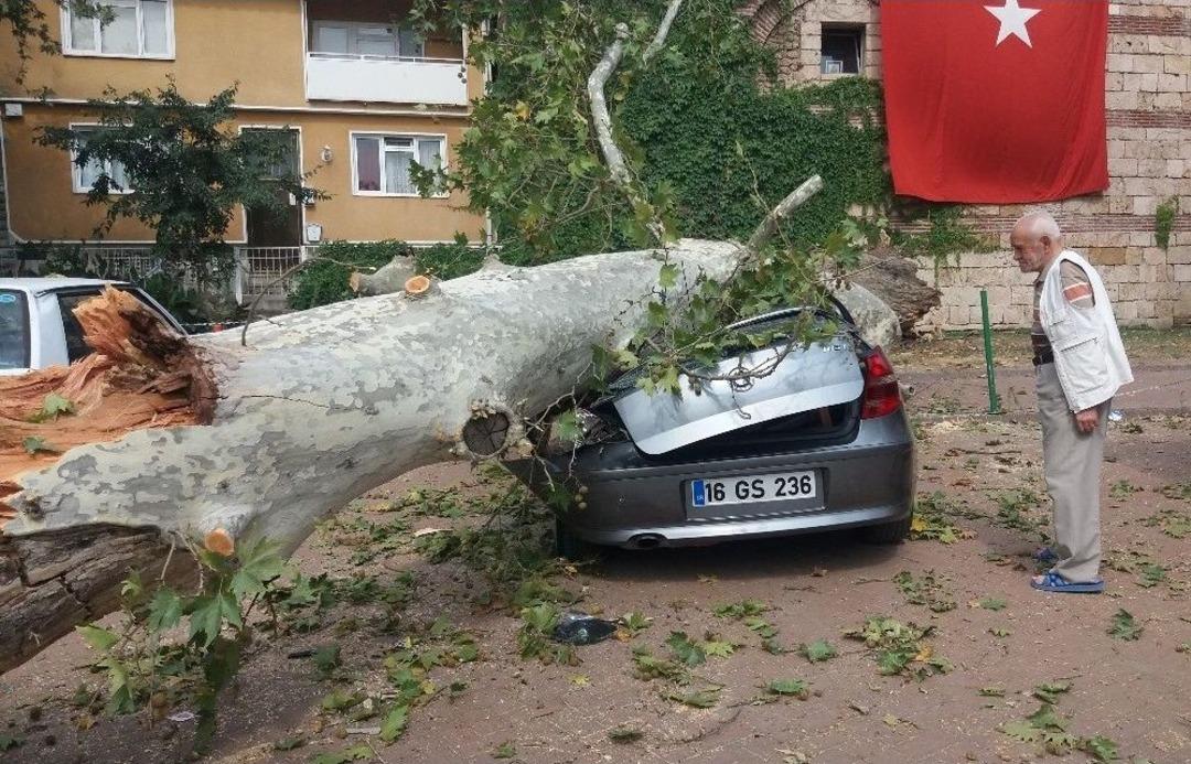 (&ouml;zel Haber) Devrilen 190 Yaşındaki &Ccedil;ınar L&uuml;ks Otomobili Hurdaya &Ccedil;evirdi