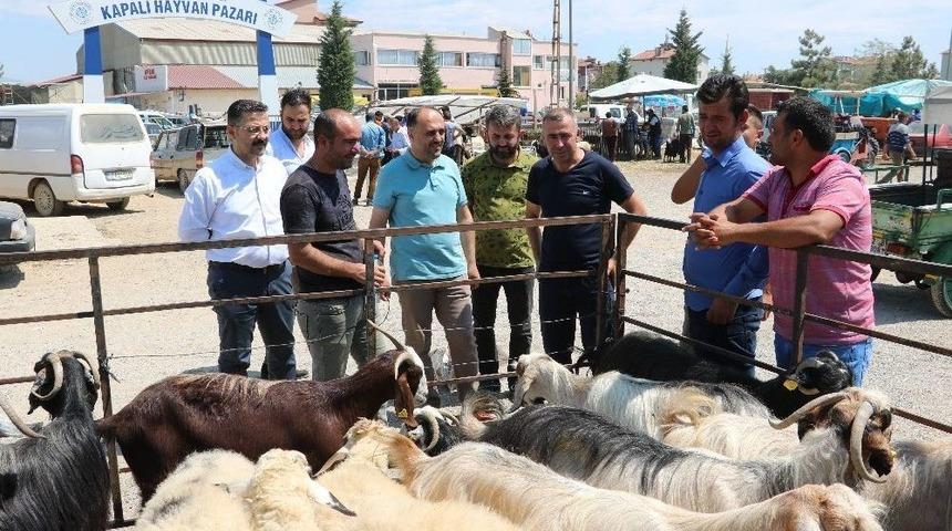 Başkan &Ouml;zaltun, Hayvan Pazarını Ziyaret Etti