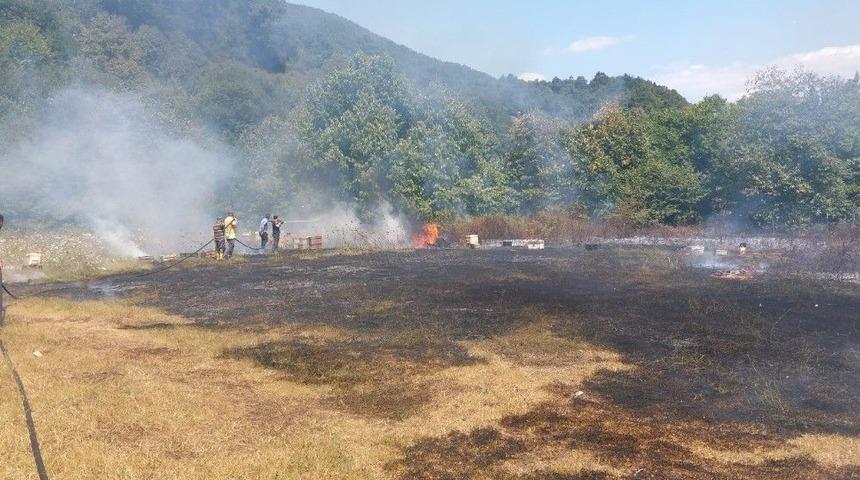 Tutuşan Otlar Ormanlık Alana Sı&ccedil;ramadan S&ouml;nd&uuml;r&uuml;ld&uuml;