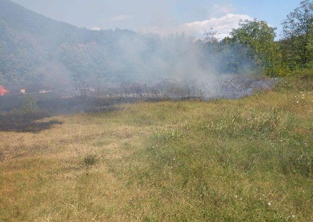 Tutuşan Otlar Ormanlık Alana Sıçramadan Söndürüldü