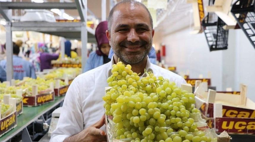 Alaşehir&rsquo;de &Uuml;z&uuml;m Festivali Başlıyor