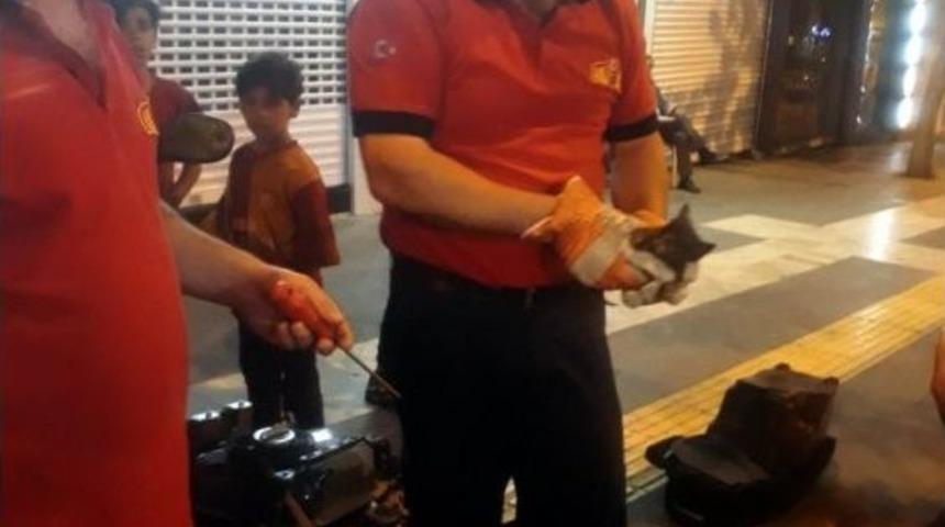 Kilis&rsquo;te Kedi Kurtarma Operasyonu