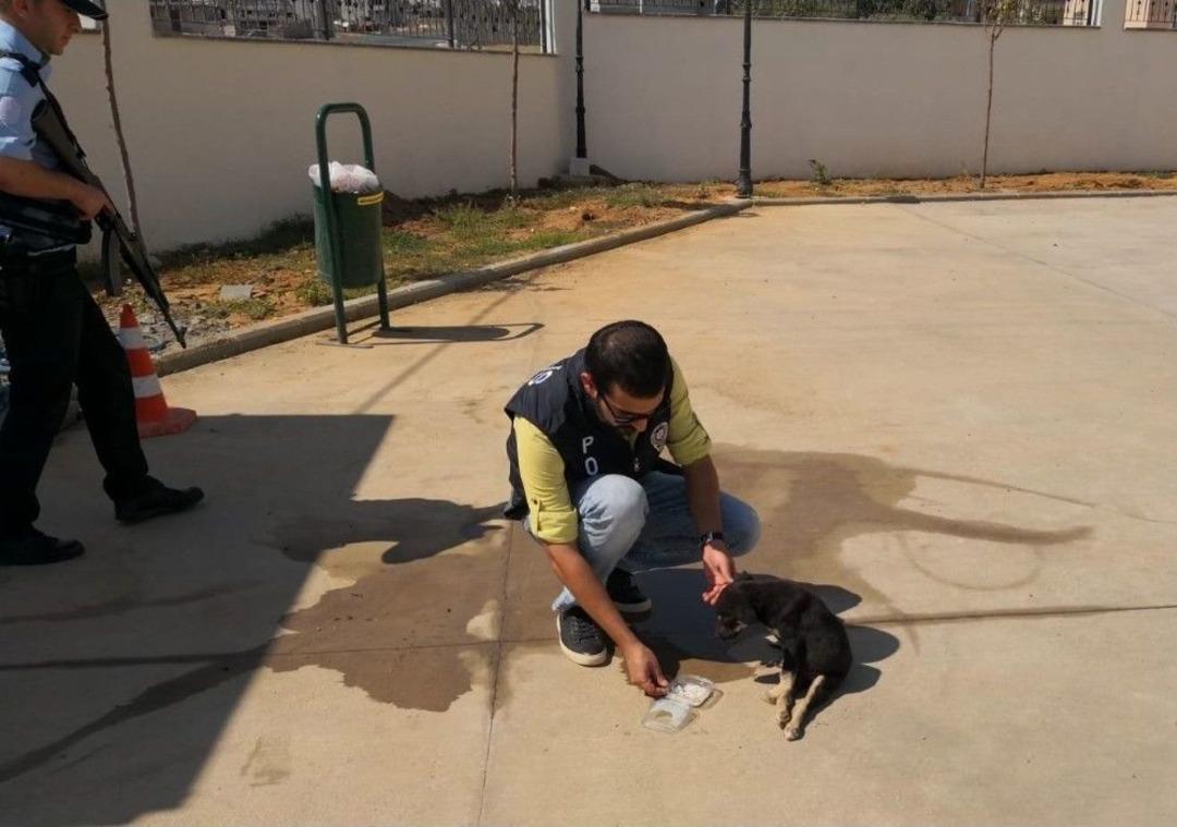 Polislerden Yaralı K&ouml;peğe Şefkat Eli