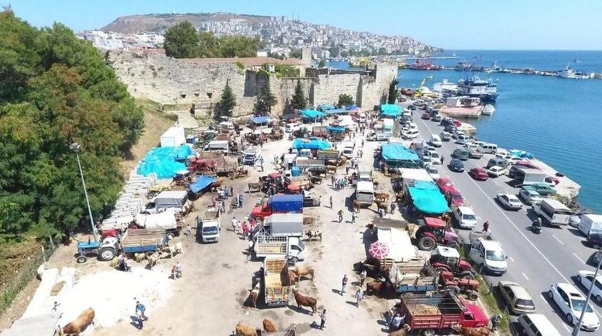 Sinop’ta Kurban Pazarında Yoğunluk