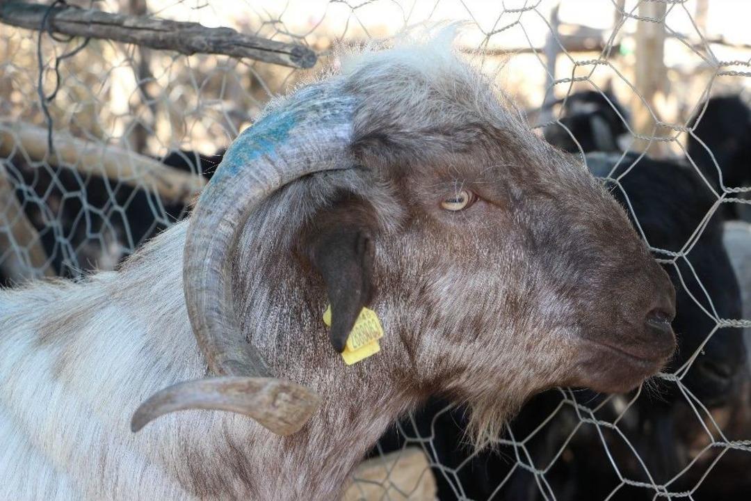 Arefe G&uuml;n&uuml; Pazarlıklar Sıkılaştı