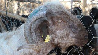 Arefe Günü Pazarlıklar Sıkılaştı