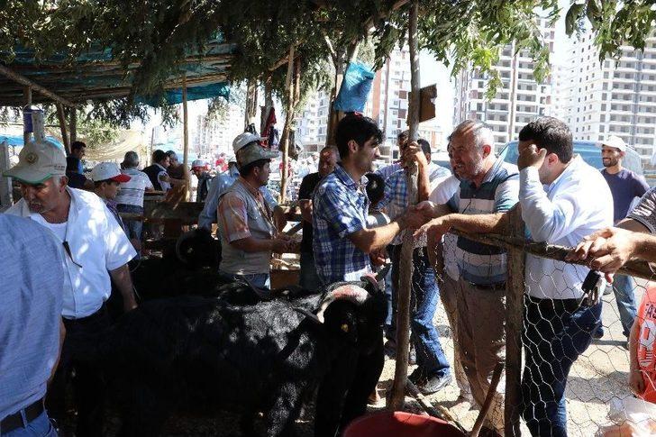 Arefe Günü Pazarlıklar Sıkılaştı G2