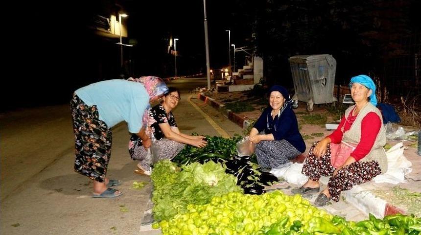 Yaşlı Kadının &Ccedil;alışma Azmi &Ouml;rnek Oldu