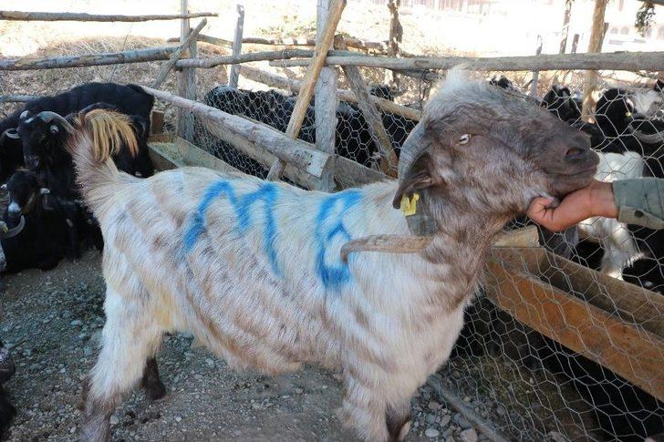 Arefe Günü Pazarlıklar Sıkılaştı G3