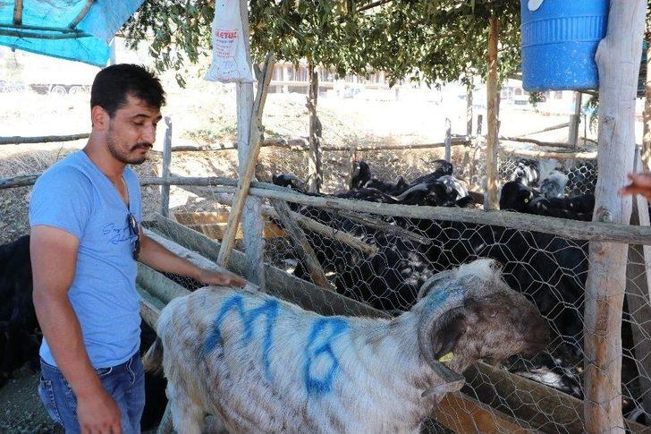 Arefe Günü Pazarlıklar Sıkılaştı G4