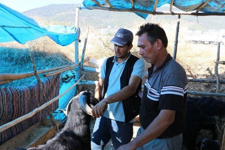 Arefe Günü Pazarlıklar Sıkılaştı G5