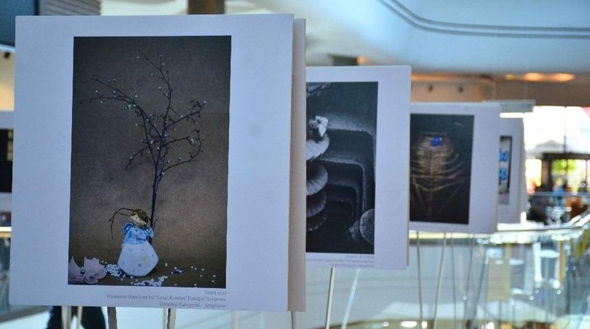 &ldquo;sanat Kareleri&rdquo; Fotoğrafları Kahramanmaraş Piazza&rsquo;da Sergilenecek