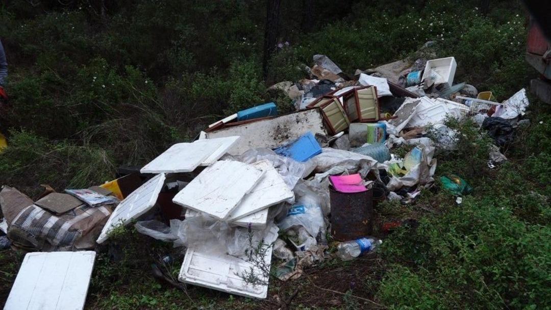 Marmaris&rsquo;te Ormanda &Ccedil;ıkan Artıklar Şaşkına &Ccedil;evirdi