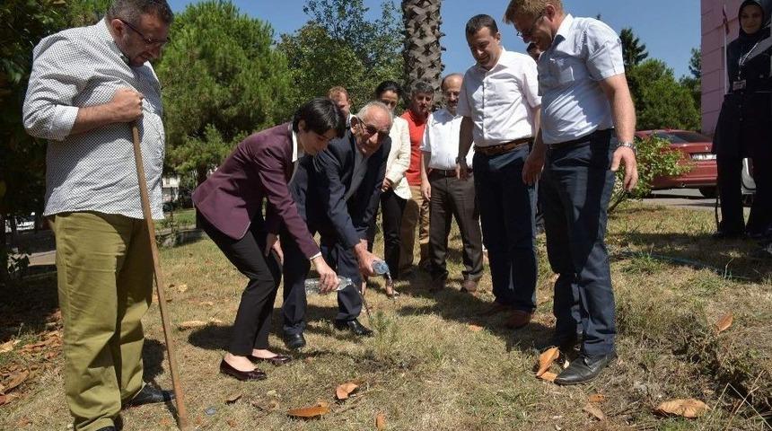 Bebekler Fidanlarıyla Büyüyecek