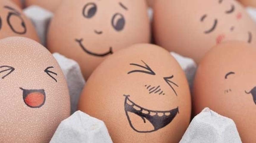 Yumurta Kabuklarını Sakın Atmayın!