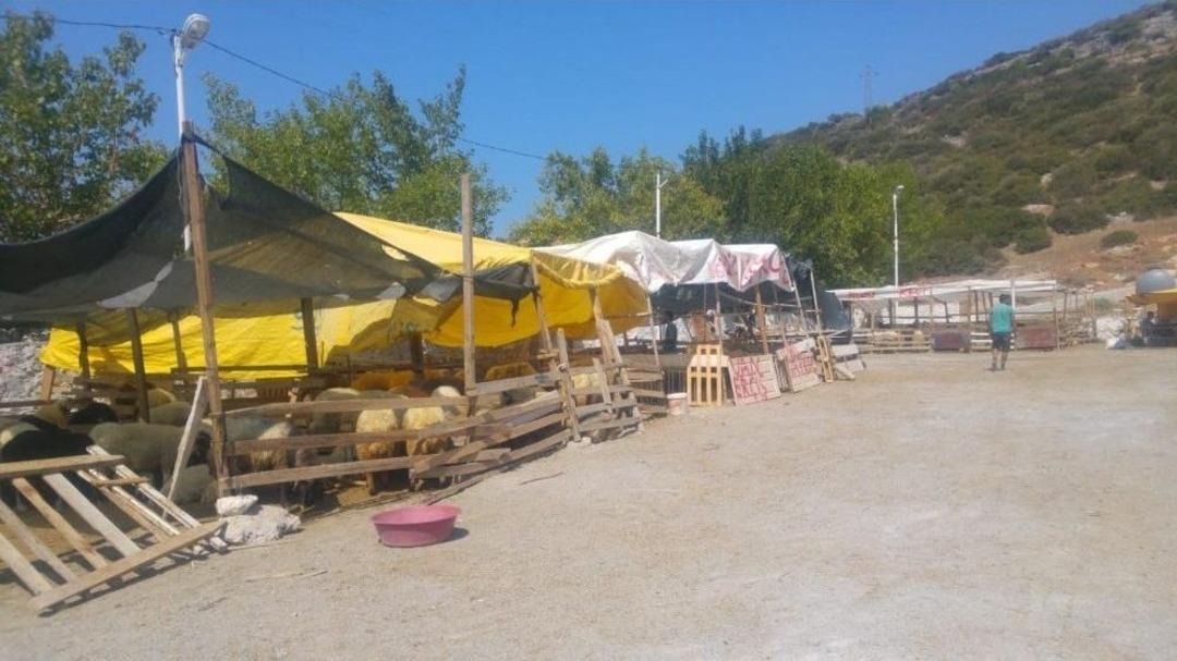 Kuşadası&rsquo;nda Kurbanlıklar Elde Kaldı