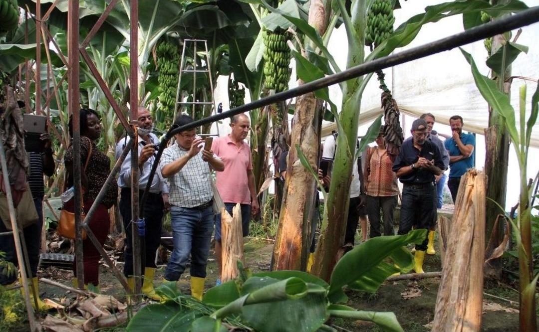 Alanya Muzunun Sırrı Araştırılıyor