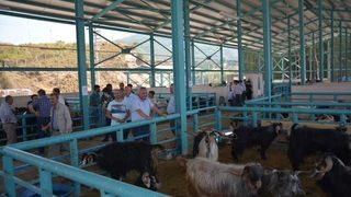 Tatvan’da arife Günü Telaşı