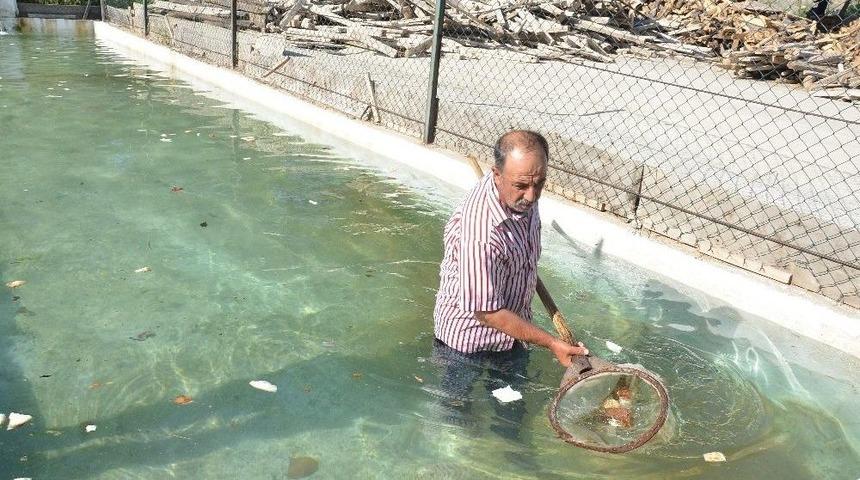 Oksijensiz Kalan Balıklara Yeni Yuva