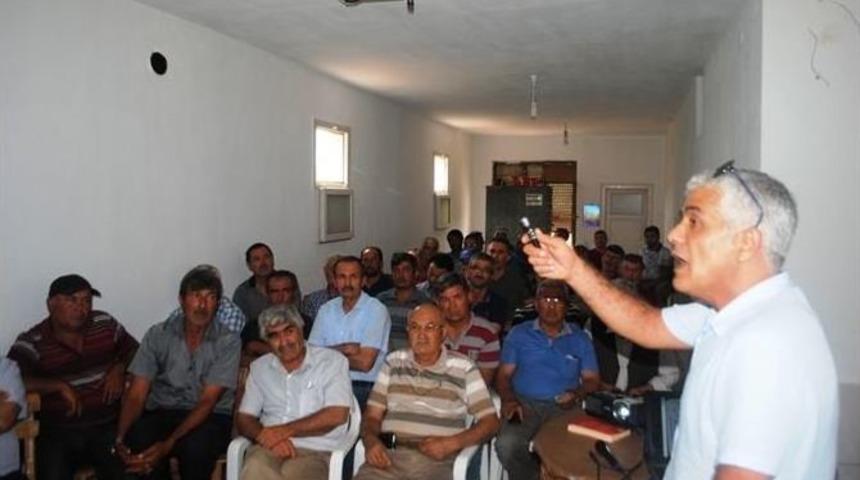 Domates &Uuml;reticisine &rsquo;g&uuml;ve&rsquo; İle M&uuml;cadele Eğitimi