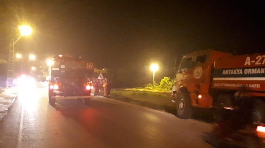 Hatay’da Orman Yangını: 4 Hektar Alan Zarar Gördü