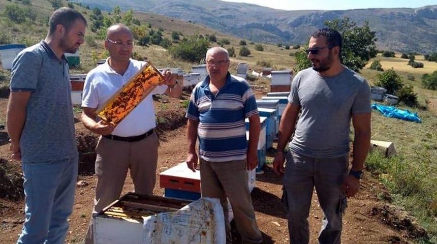 Samsunlu Arıcılar Yaylalara &Ccedil;ıktı
