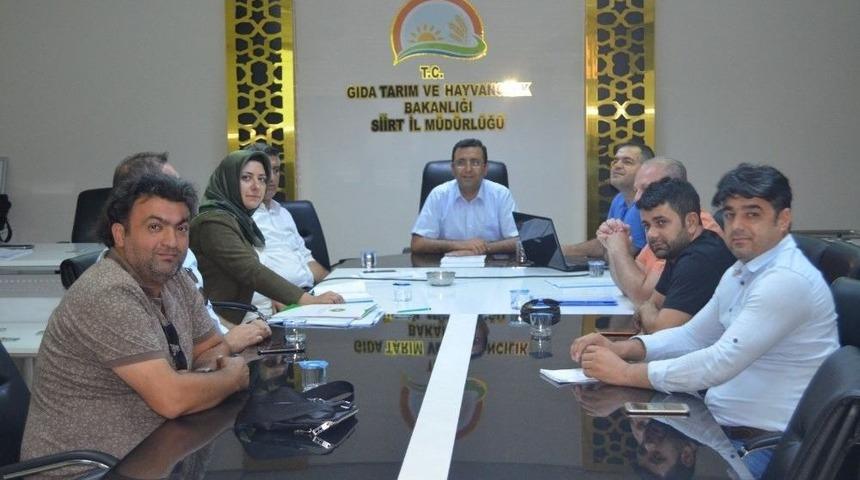 Tiftik Ke&ccedil;isi Koruma Altına Alındı