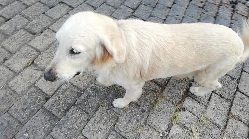 Bayram Sabahı B&uuml;y&uuml;k Panik