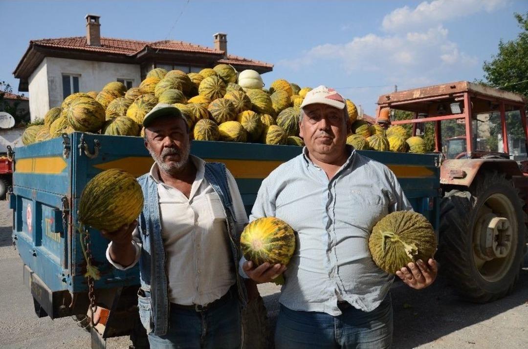 &Ccedil;ift&ccedil;iler T&uuml;t&uuml;nc&uuml;l&uuml;ğ&uuml; Bırakıp Kavuna Y&ouml;neliyor