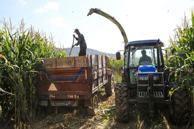 Başkan Atıcı, Silaj Yapma Fiyatlarını Açıkladı