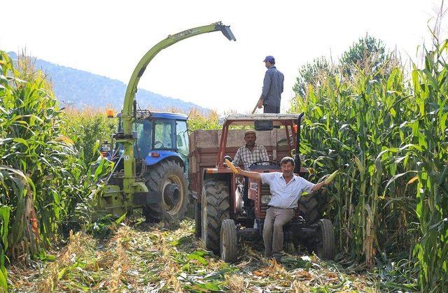 Başkan Atıcı, Silaj Yapma Fiyatlarını Açıkladı