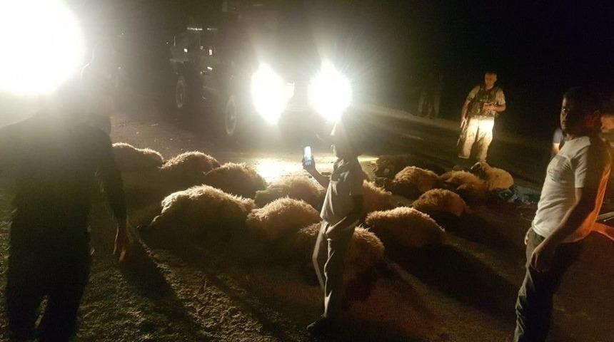 Ara&ccedil; S&uuml;r&uuml;ye Daldı: 20 Koyun Telef Oldu