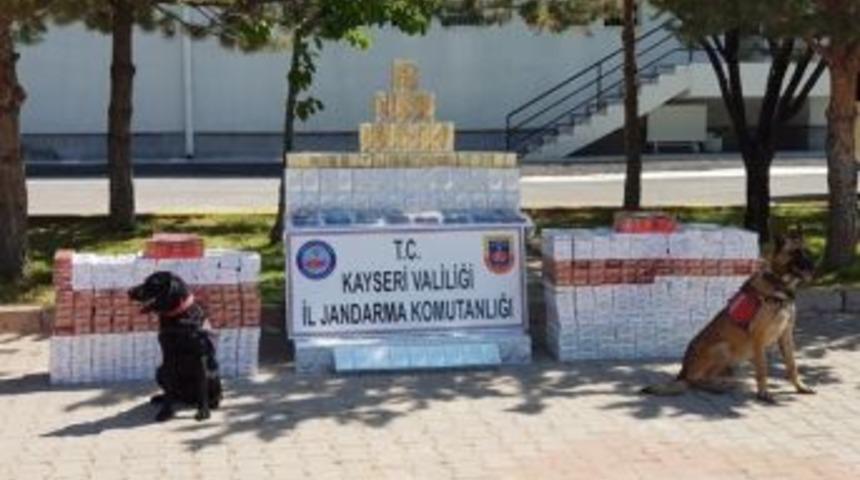 Jandarmadan Ka&ccedil;ak&ccedil;ılara Darbe