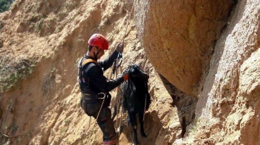 U&ccedil;urumda Mahsur Kalan 2 Ke&ccedil;i Kurtarıldı