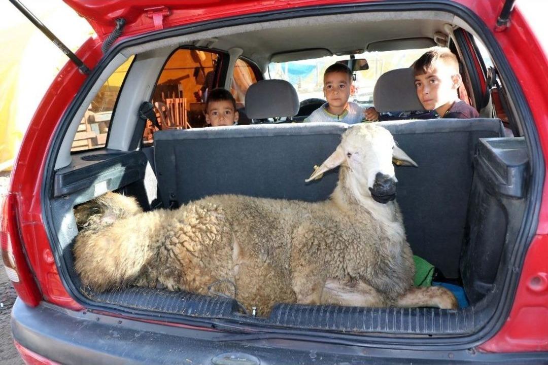 Yozgat&rsquo;ta Kurbanlar Kesildi