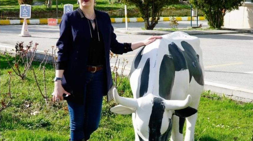 K&ouml;yl&uuml;n&uuml;n &rsquo;sağım Kalitesindeki S&uuml;t&uuml; Halka Ulaştırma&rsquo; Hayali Ger&ccedil;ek Oldu