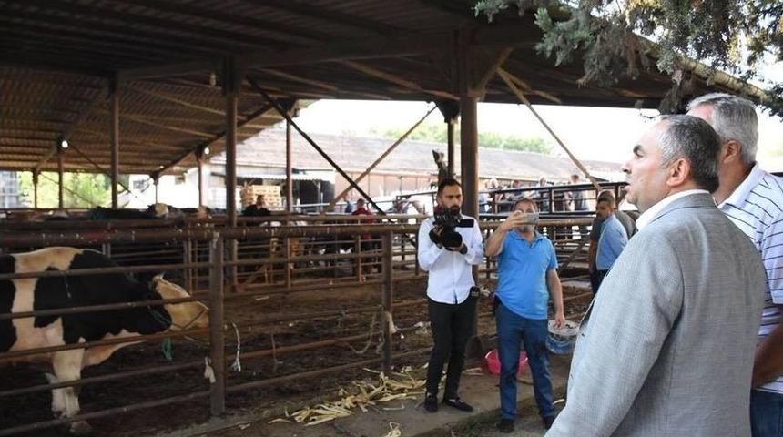 Başkan Dursun Ay, Hayvan Kesim Yerlerini Gezdi