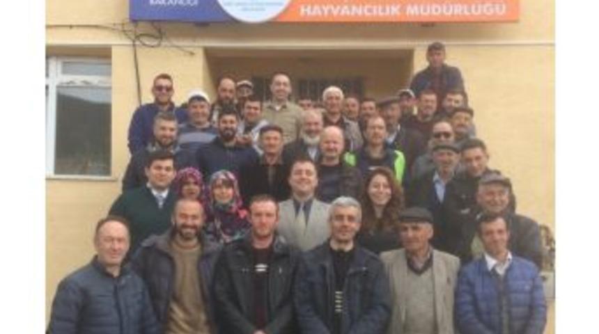 İnönü’de Buzağı Ölümlerine Dur Denilecek