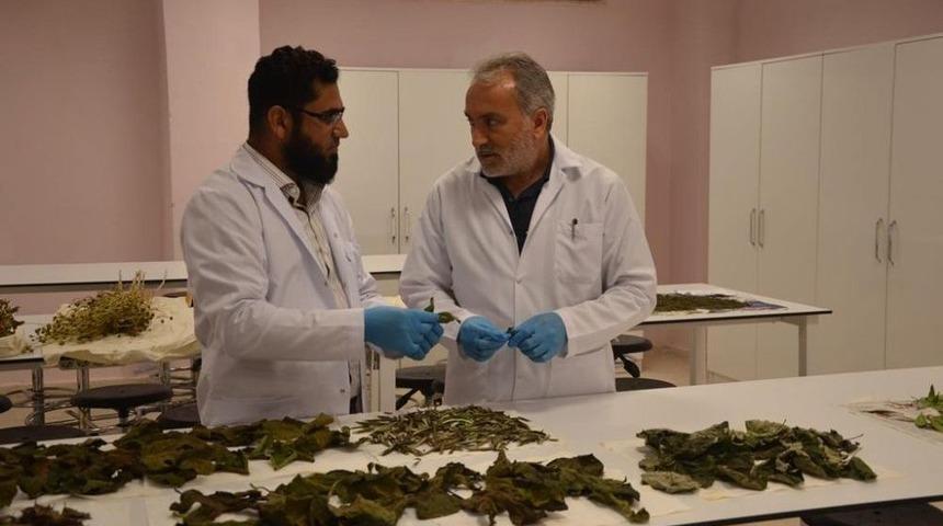 Bartın &Uuml;niversitesi&rsquo;nin Biyoetanol Projesi Devam Ediyor