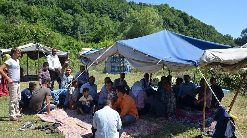 Batı Karadeniz&rsquo;e Fındık Hasadı İ&ccedil;in 10 Bin Mevsimlik İş&ccedil;i Bekleniyor